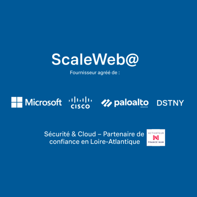 ScaleWeb-picture-Nov.-2025-v2